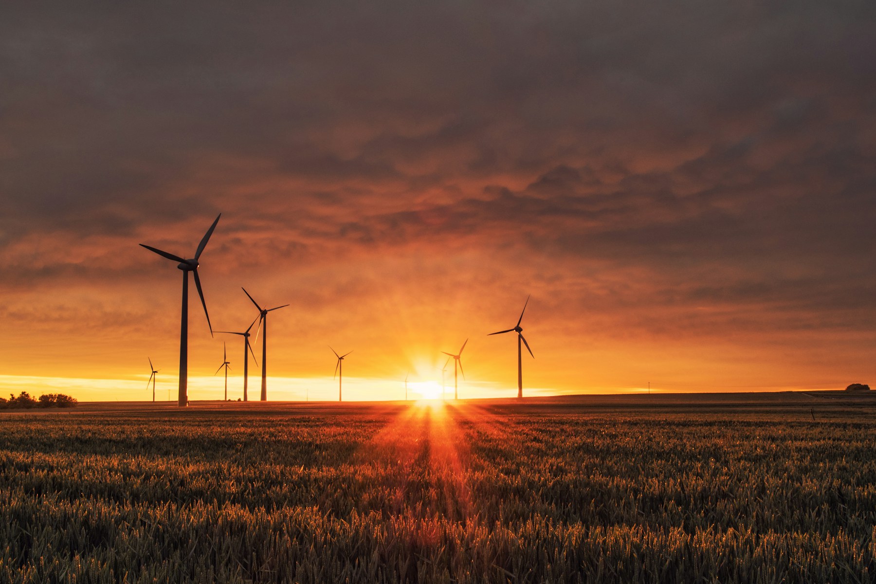 Wind turbines generating renewable energy in an open field at golden hour